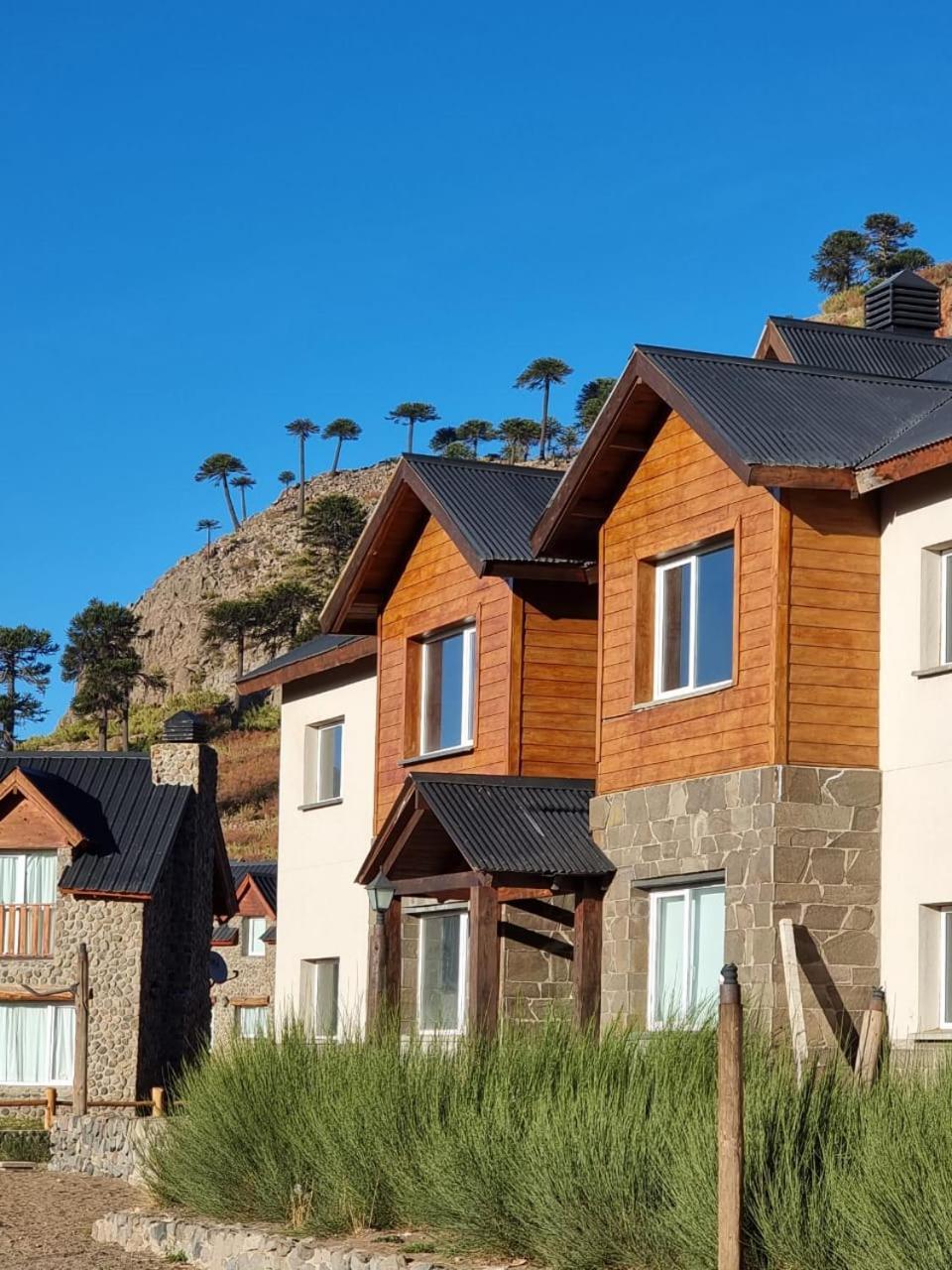 Villa Maihue Departamentos De Montana - Caviahue Bagian luar foto